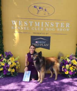 Dr Hardoon and her dog winning 'select dog' at the Westminster Kennel Club
