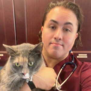 Jezi Morales, hospital manager Williston Park Animal Hospital, holding little calico cat